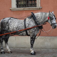 HISTORIC OLD TOWNS OF NORTHERN POLAND