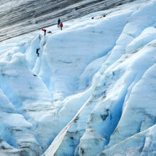 ALASKA GLACIERS