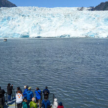 ALASKA GLACIERS