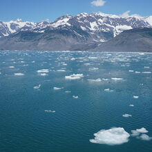 ALASKA GLACIERS