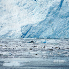 ALASKA GLACIERS