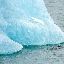 ALASKA GLACIERS